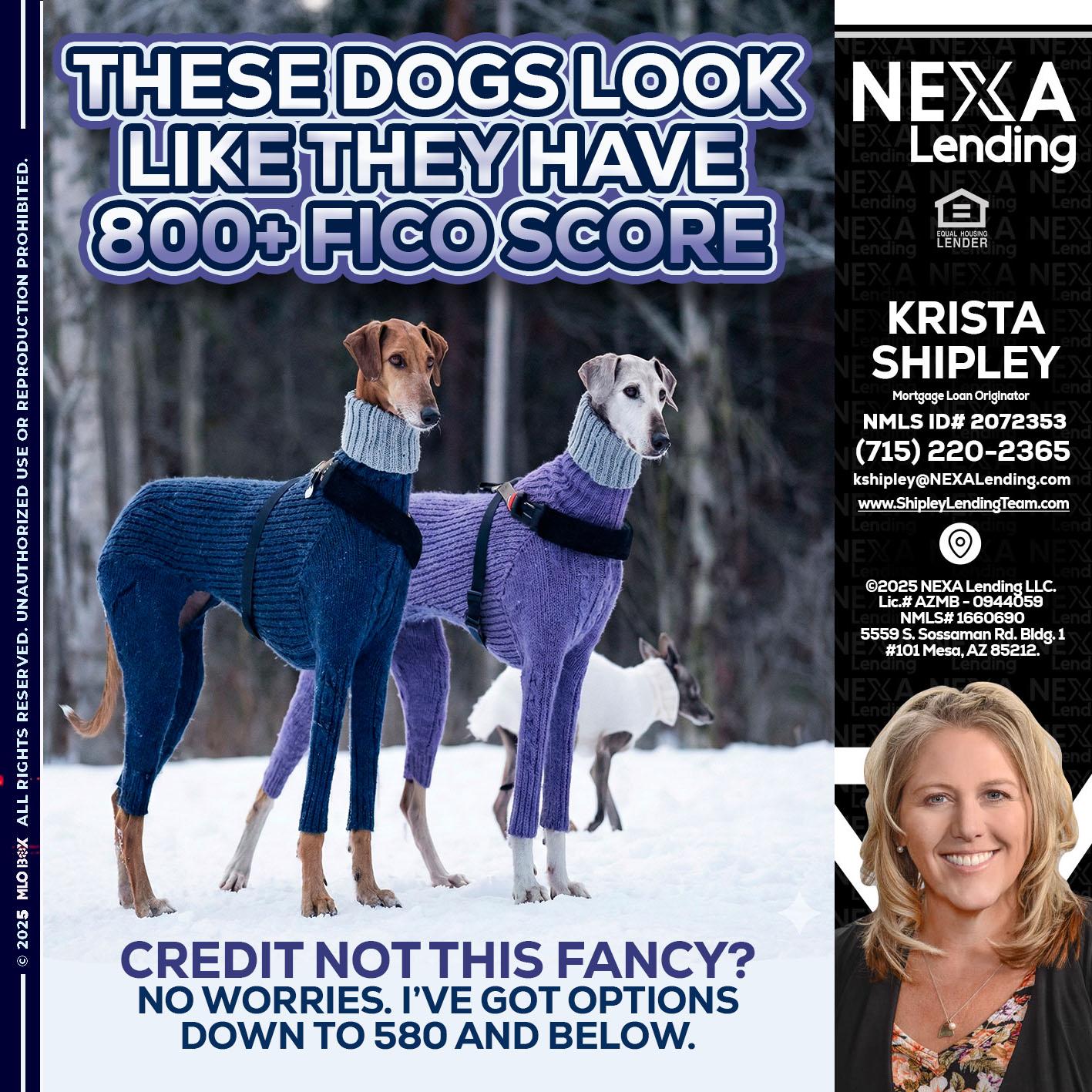 THESE DOGS LOOK - Krista Shipley -Mortgage Loan Originator